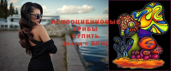 мдма Белокуриха