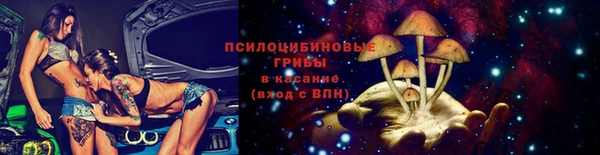 PSILOCYBIN Беломорск