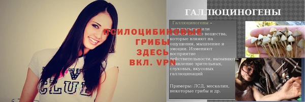 ПСИЛОЦИБИНОВЫЕ ГРИБЫ Белоозёрский