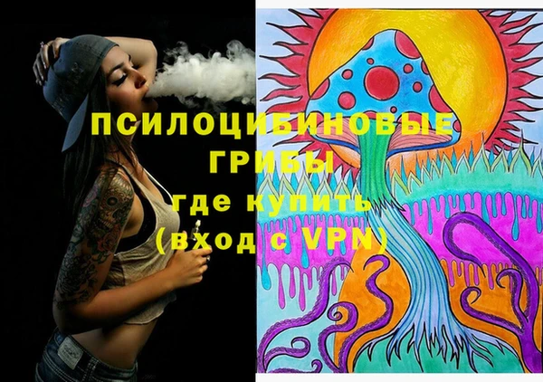 PSILOCYBIN Беломорск