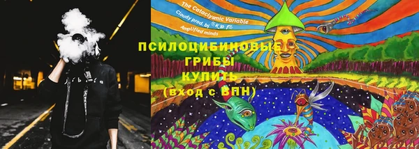 ПСИЛОЦИБИНОВЫЕ ГРИБЫ Белоозёрский