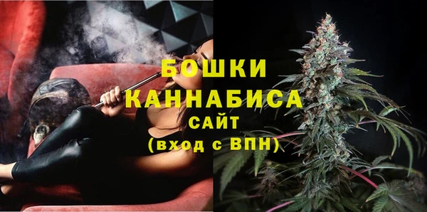 ПСИЛОЦИБИНОВЫЕ ГРИБЫ Белоозёрский