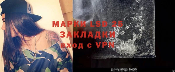 PSILOCYBIN Беломорск