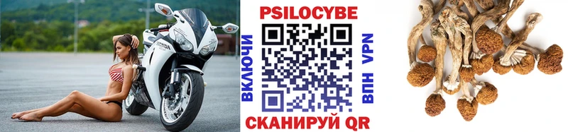 MEGA как войти  Вязьма  Галлюциногенные грибы Psilocybe 